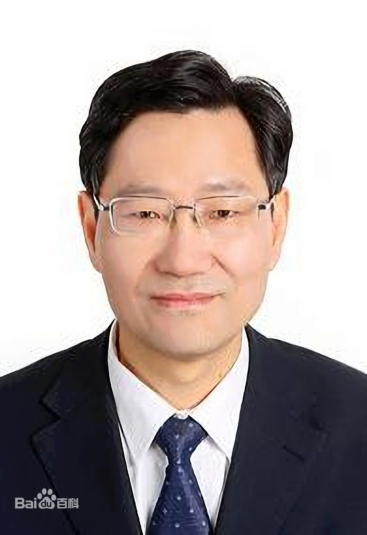 教授郝跃院士何友院士刘文清院士黄培康院士周寿桓院士许祖彦院士